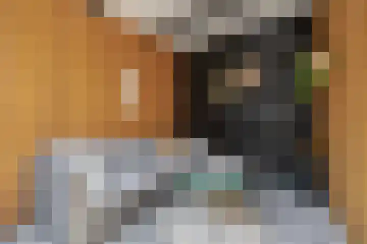 Nijenrode 31 Eindhoven thumbnail 43