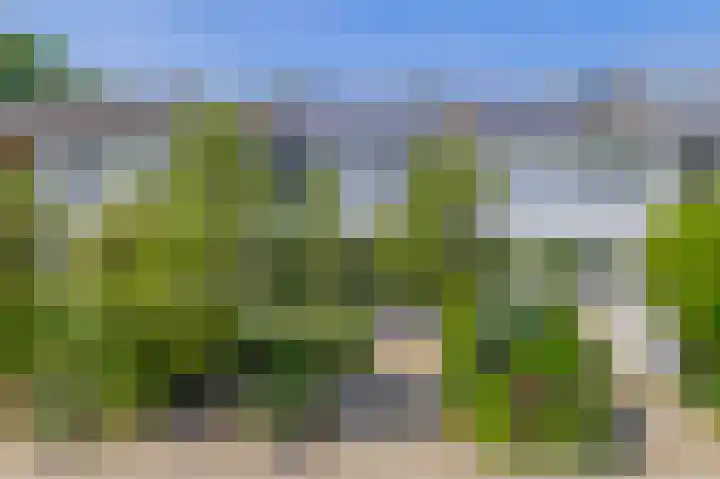 Nijenrode 31 Eindhoven thumbnail 45