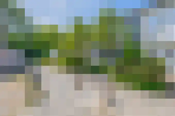 Nijenrode 31 Eindhoven thumbnail 46