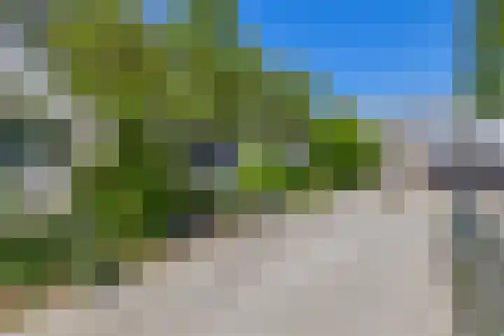 Nijenrode 31 Eindhoven thumbnail 49