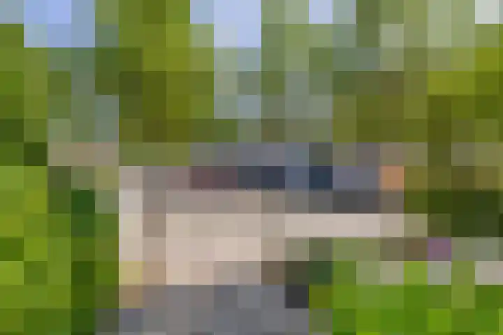 Nijenrode 31 Eindhoven thumbnail 50