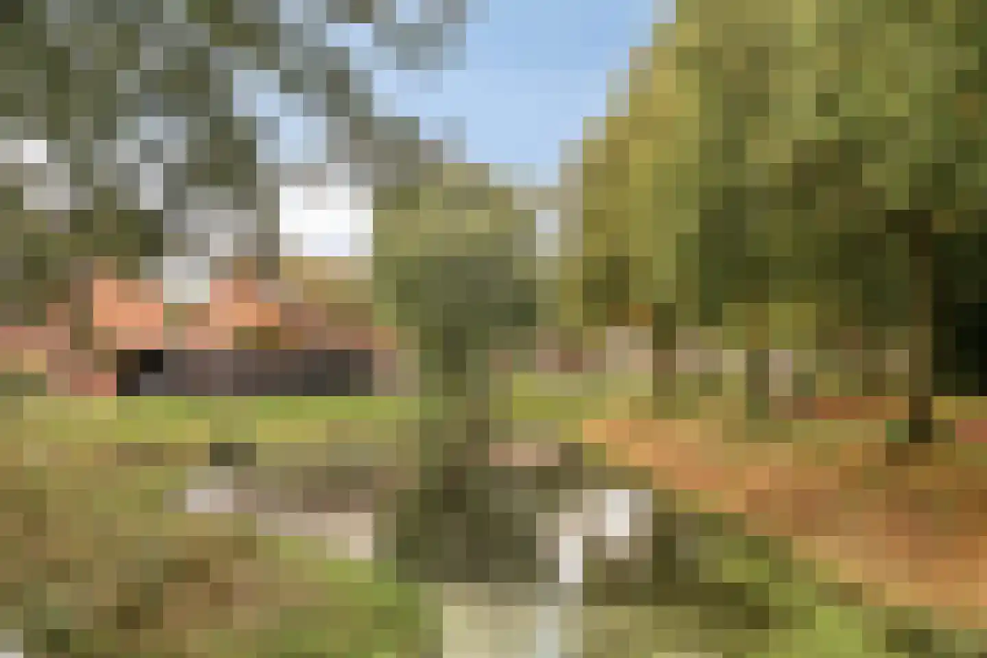 Nijenrode 33 Amersfoort thumbnail 27