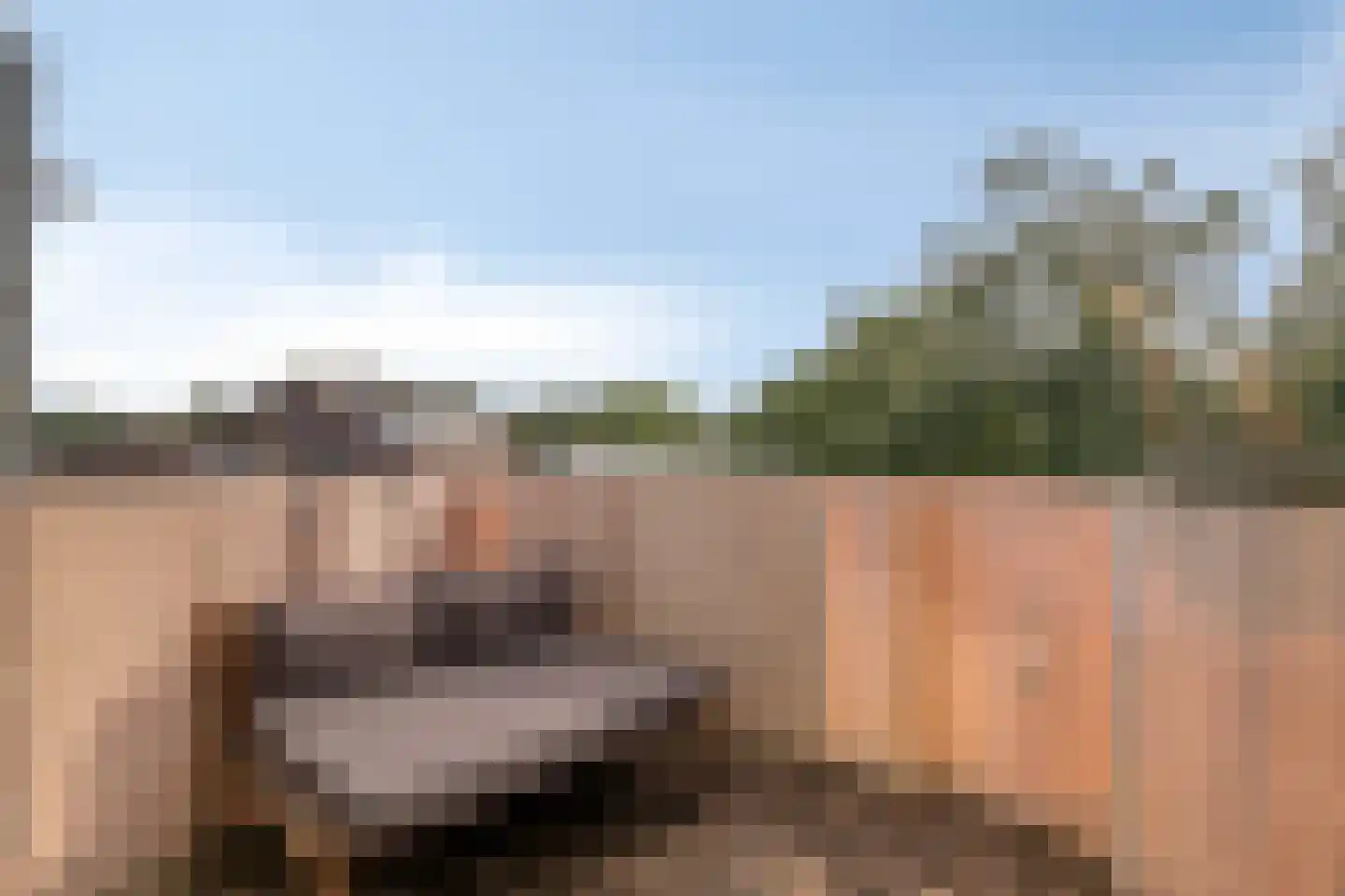 Nijenrode 33 Amersfoort thumbnail 6