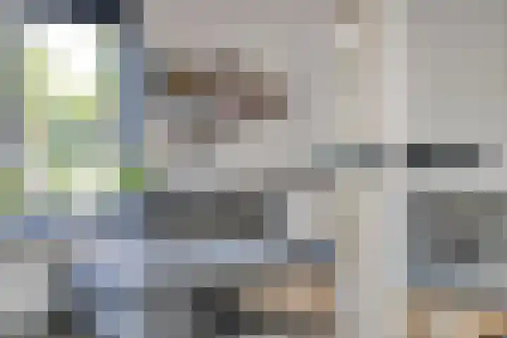 Nijenrode 34 Roden thumbnail 10