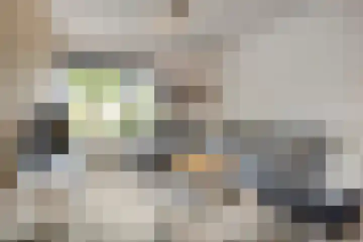 Nijenrode 34 Roden thumbnail 11