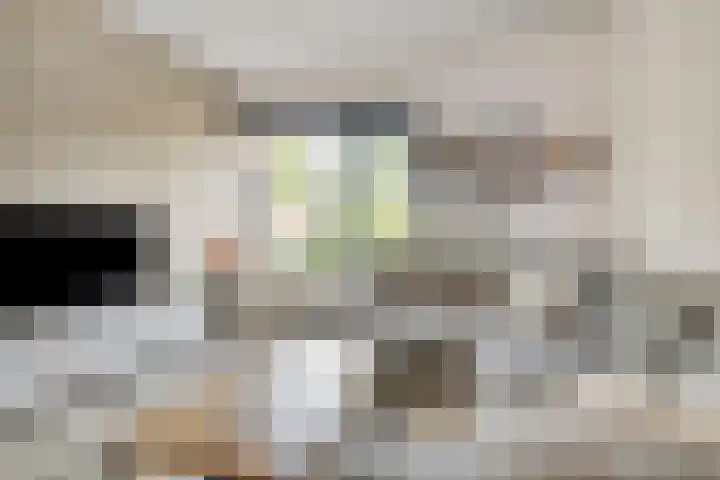 Nijenrode 34 Roden thumbnail 12