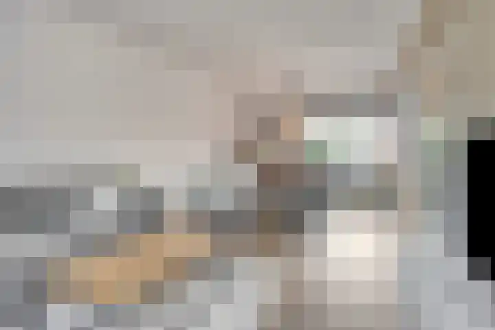 Nijenrode 34 Roden thumbnail 13