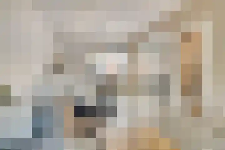 Nijenrode 34 Roden thumbnail 14