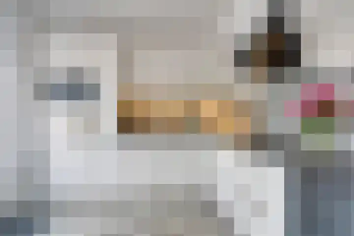 Nijenrode 34 Roden thumbnail 17