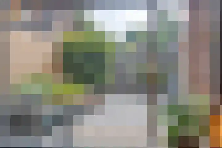 Nijenrode 34 Roden thumbnail 22
