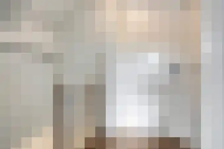 Nijenrode 34 Roden thumbnail 24