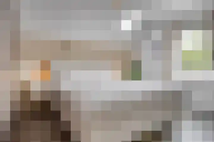 Nijenrode 34 Roden thumbnail 25