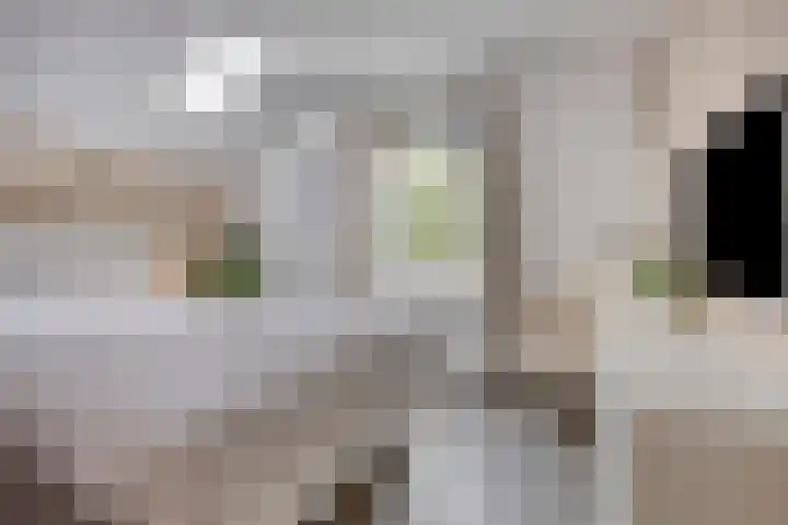 Nijenrode 34 Roden thumbnail 26
