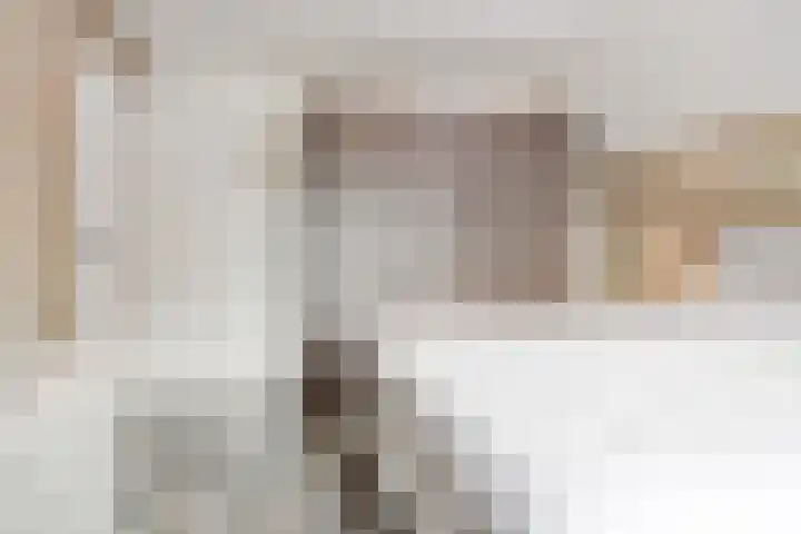 Nijenrode 34 Roden thumbnail 27
