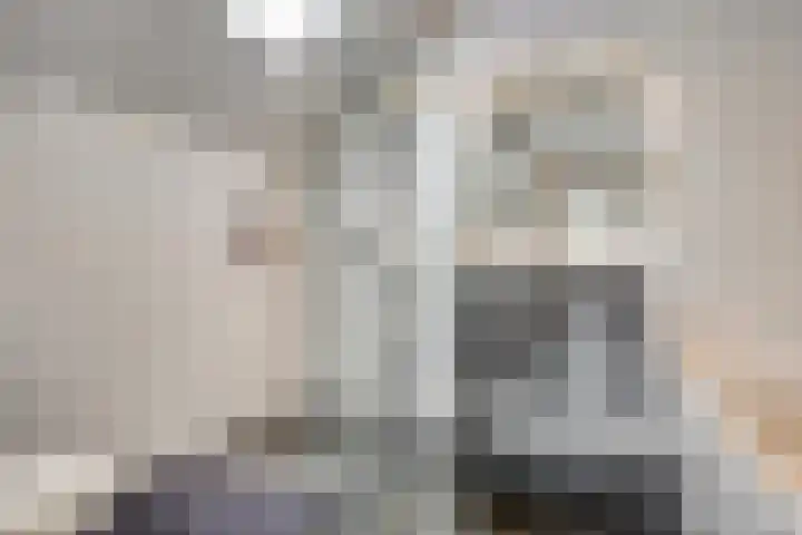 Nijenrode 34 Roden thumbnail 29