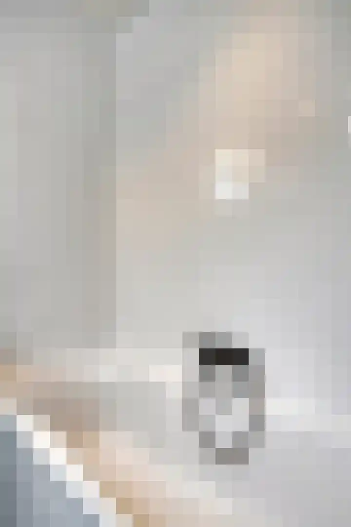 Nijenrode 34 Roden thumbnail 32