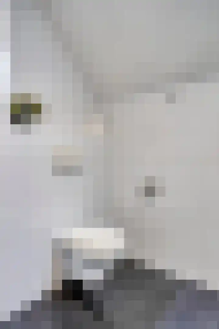Nijenrode 34 Roden thumbnail 33