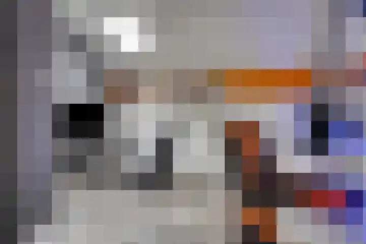 Nijenrode 34 Roden thumbnail 34
