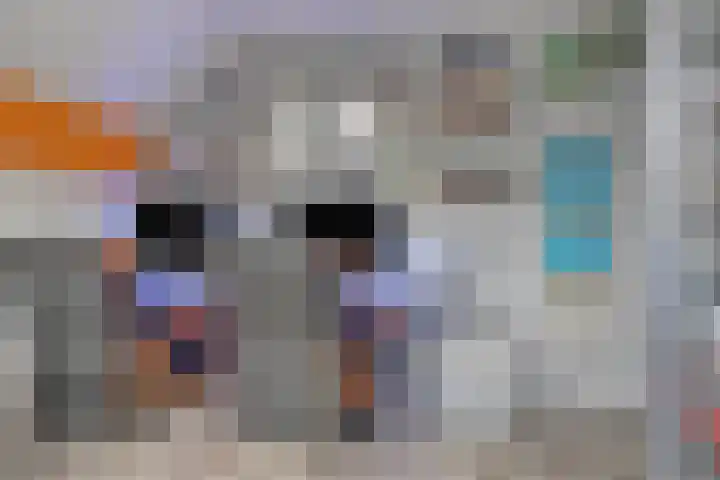 Nijenrode 34 Roden thumbnail 36