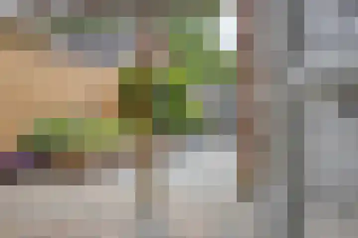 Nijenrode 34 Roden thumbnail 39