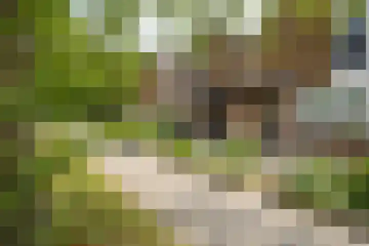 Nijenrode 34 Roden thumbnail 4