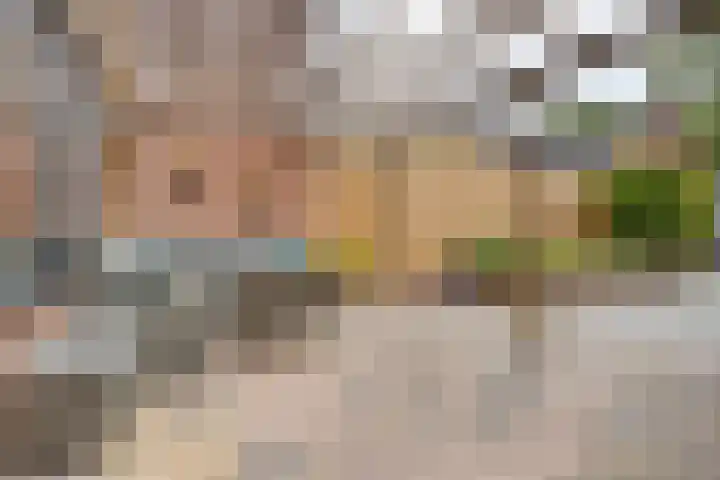 Nijenrode 34 Roden thumbnail 40
