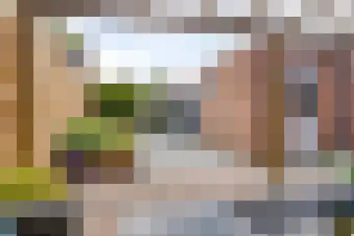 Nijenrode 34 Roden thumbnail 41