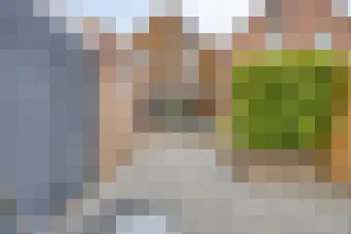 Nijenrode 34 Roden thumbnail 44