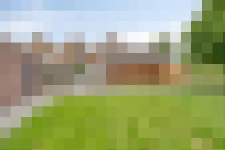 Nijenrode 34 Roden thumbnail 45