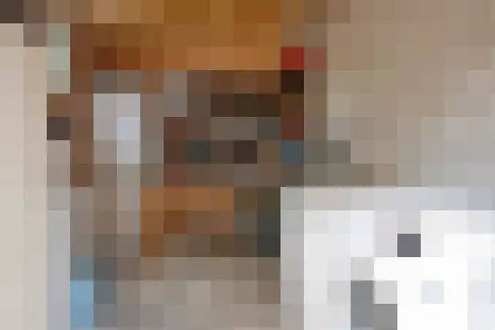 Nijenrode 34 Roden thumbnail 46