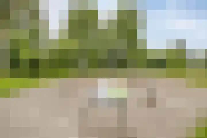 Nijenrode 34 Roden thumbnail 47