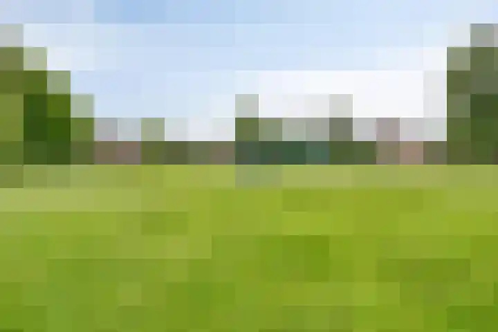 Nijenrode 34 Roden thumbnail 48