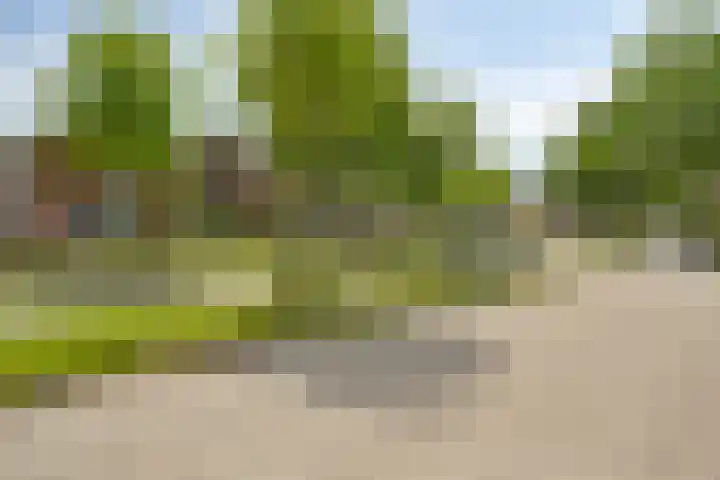 Nijenrode 34 Roden thumbnail 5