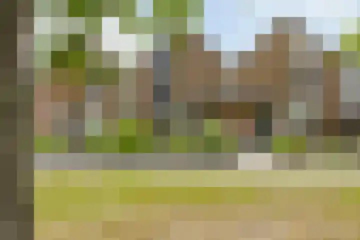 Nijenrode 34 Roden thumbnail 52