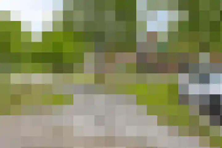 Nijenrode 34 Roden thumbnail 6