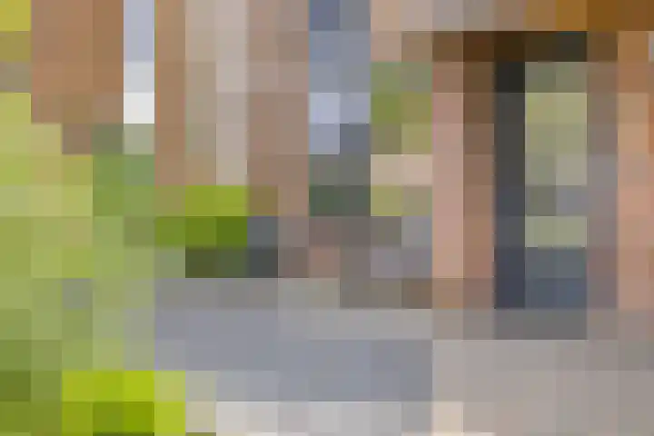 Nijenrode 34 Roden thumbnail 7