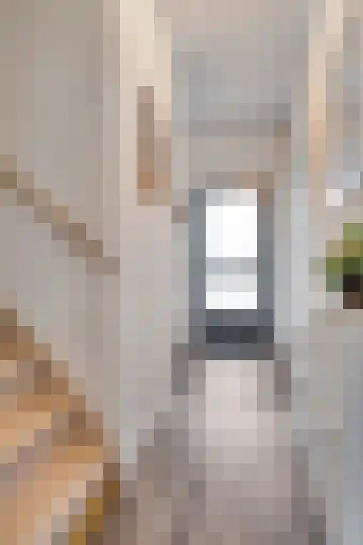 Nijenrode 34 Roden thumbnail 8