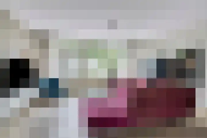 Nijenrode 37 Eindhoven thumbnail 14