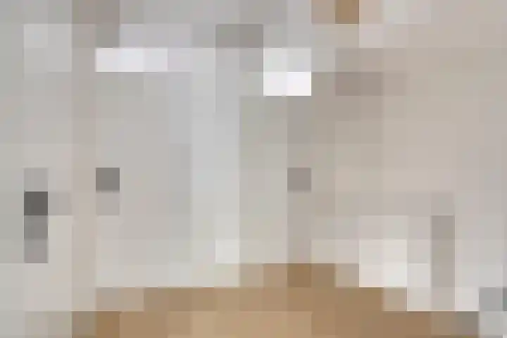 Nijenrode 37 Eindhoven thumbnail 24