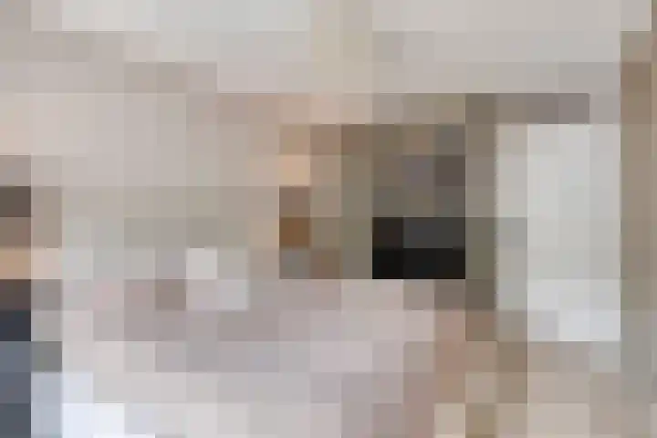Nijenrode 37 Eindhoven thumbnail 27