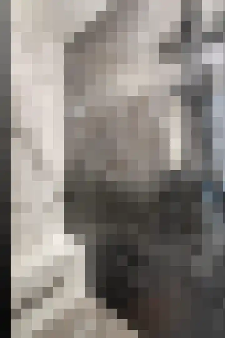 Nijenrode 37 Eindhoven thumbnail 30