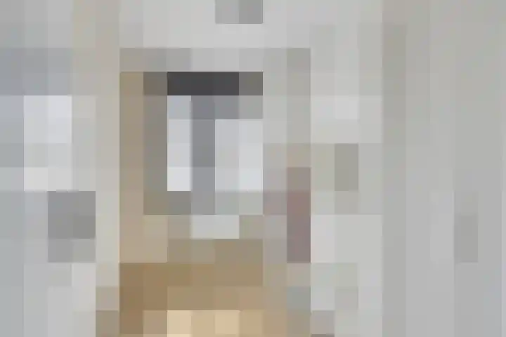 Nijenrode 37 Eindhoven thumbnail 39