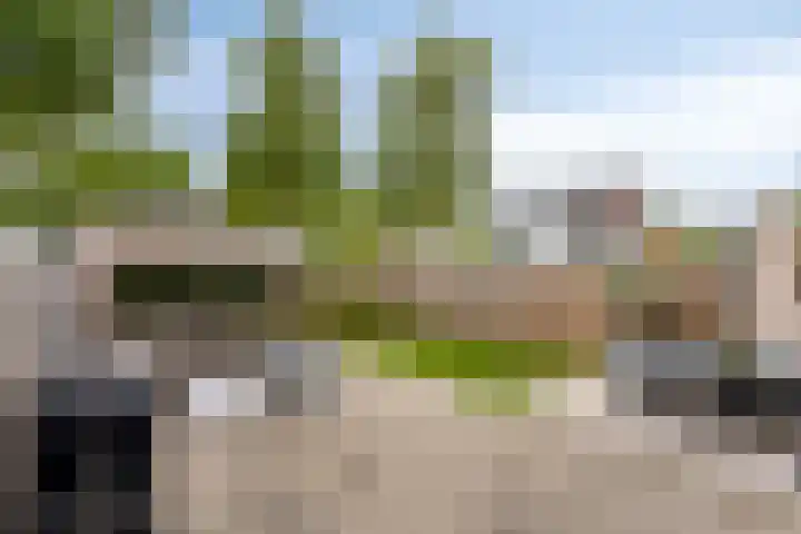 Nijenrode 37 Eindhoven thumbnail 41