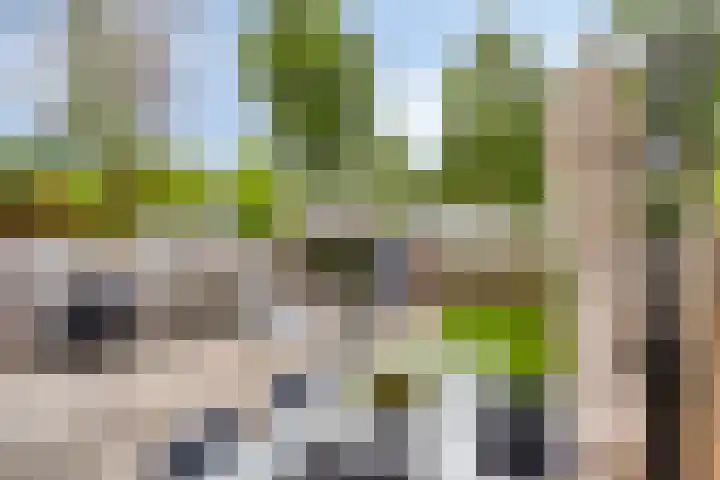 Nijenrode 37 Eindhoven thumbnail 42