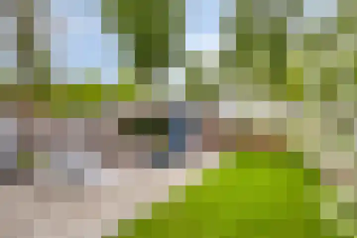 Nijenrode 37 Eindhoven thumbnail 43