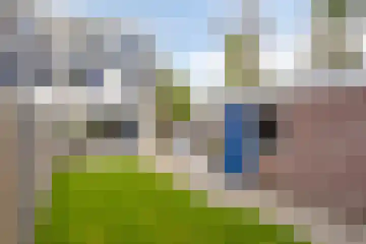 Nijenrode 37 Eindhoven thumbnail 44