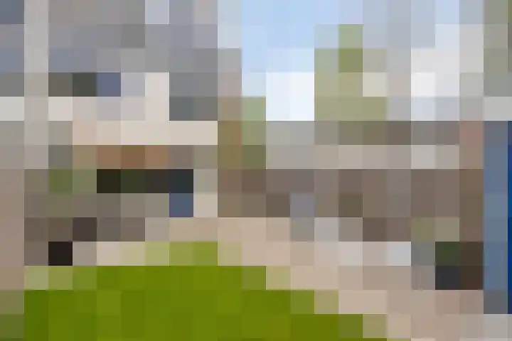 Nijenrode 37 Eindhoven thumbnail 46