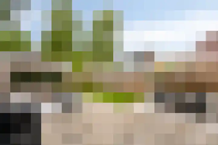 Nijenrode 37 Eindhoven thumbnail 47