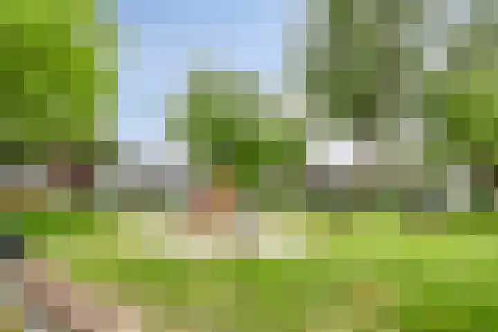 Nijenrode 37 Eindhoven thumbnail 48