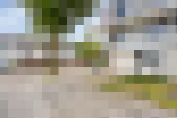 Nijenrode 37 Eindhoven thumbnail 5